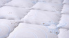 Image00007