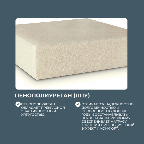 ППУ